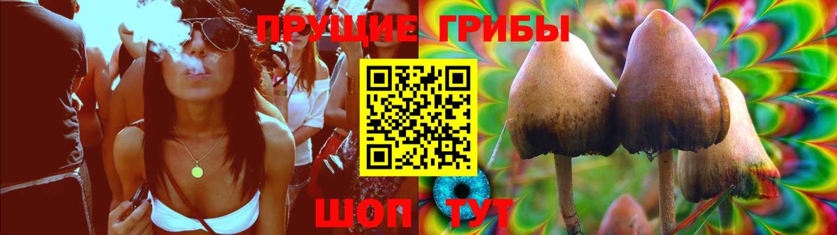Алатырь  Галлюциногенные грибы GOLDEN TEACHER  Вход с VPN 