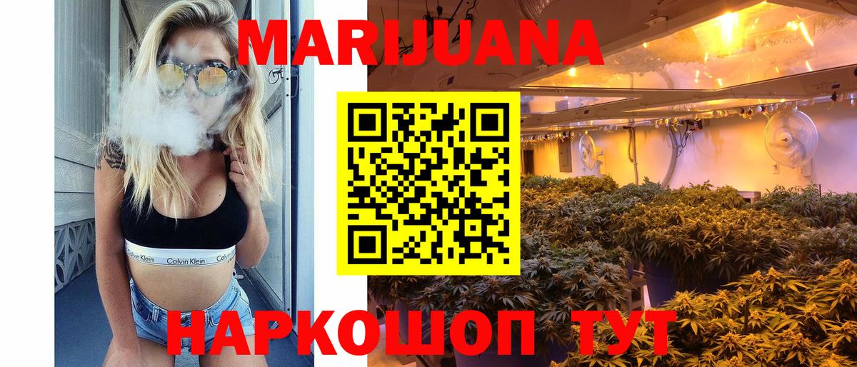 Бошки Шишки сатива  Бошки Шишки семена  Вход с VPN  Алатырь 